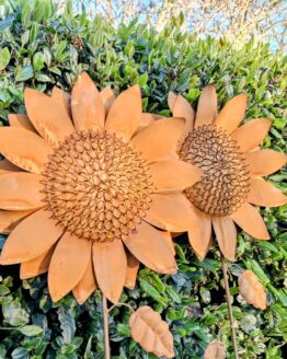 Set van 4 roest zonnebloemen op tuinsteker diameter 35 cm.