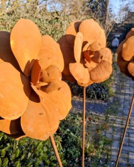 Set van 4 roest bloemen roos op tuinsteker diameter 25 cm.