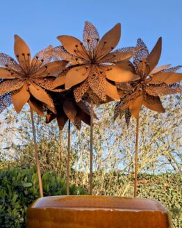 Set van 4 roest bloemen trevor op tuinsteker diameter 40 cm.