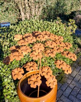 Roest bloem bereklauw op tuinsteker diameter 35 cm.